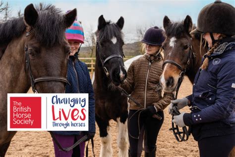 Bhs Changing Lives Through Horses Duchy College