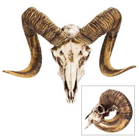 Bighorn Sheep Ram Skull Replica Life Sized