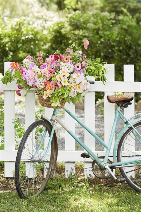 Bike With Flowers In Basket