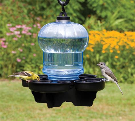 Attract Birds with Feeders and Fresh Water