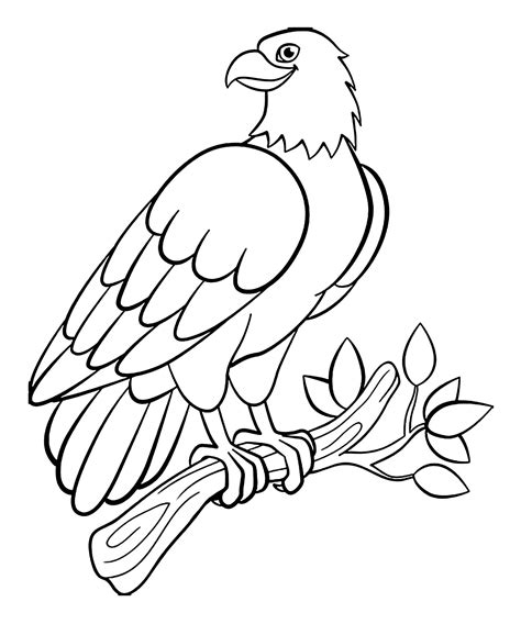 Birds Coloring Pages For Kids Printable