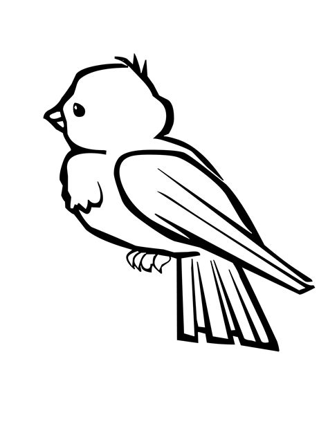 Birds Coloring Pages Printable