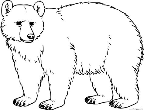 Free Black Bear Printable Templates and Coloring Pages