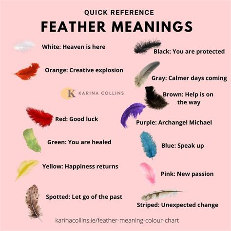 Black Feather Meaning And Symbolism Color Meanings