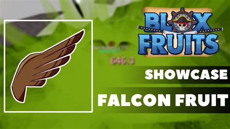 Blox Fruits Falcon Fruit Showcase Roblox Youtube