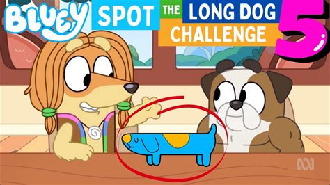 Bluey Spot The Long Dog Youtube