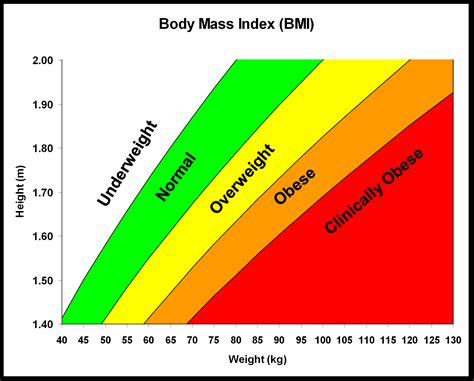 Bmi Calculator With Exercise