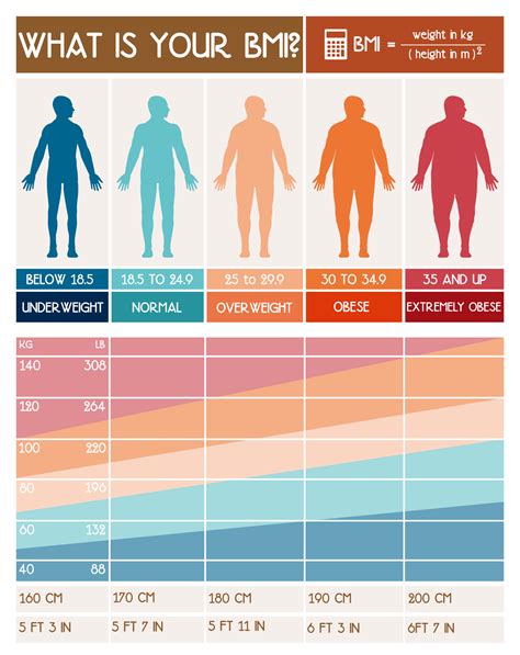 Body Fat Calculator