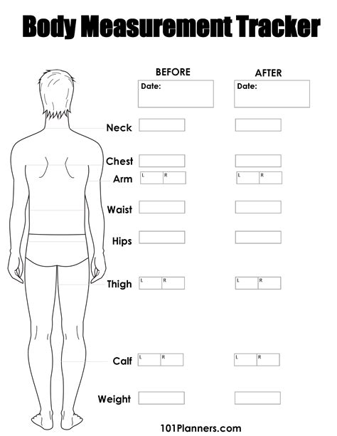 Body Measurement Tracker Printable Body Measurement Chart Male And