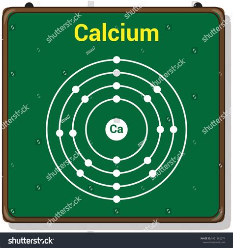 Bohr Model Calcium Atom Electron Structure Stock Vector Royalty Free 1951262071