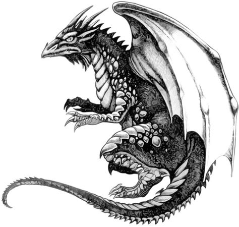 Bonny Black And White Mythical Dragon Creature Tattoo Design