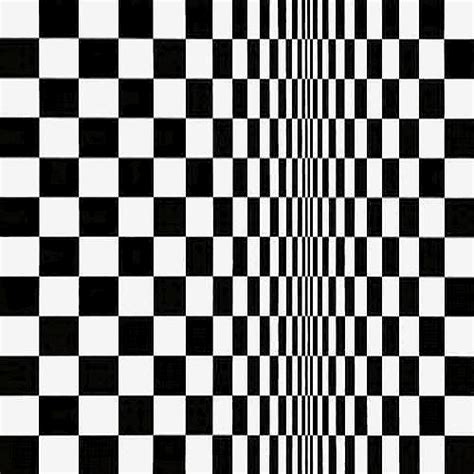 Bridget Riley Squares