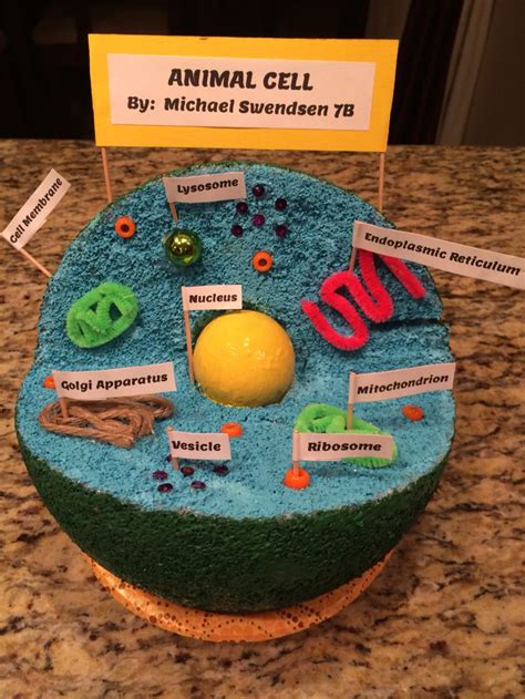 Build A Model Of A Cell Hiatt 8Th Grade Science