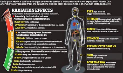 Business Opportunity Anti Radiation Chip For Mobile Phone India