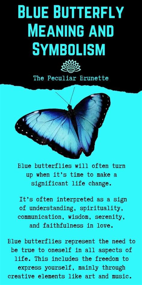 Butterfly Meaning And Symbolism Discover Their Beautiful And Simple Magic Artofit