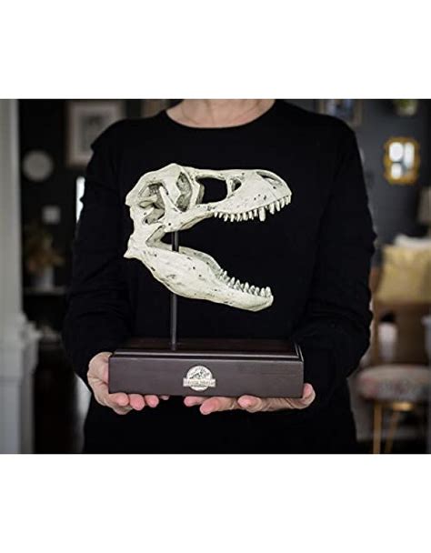 Buy Jurassic World Tyrannosaurus Rex Skull Resin Replica 9X8 Inch