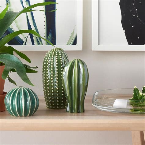 Cactus from IKEA: Affordable Desert Chic for Your Home