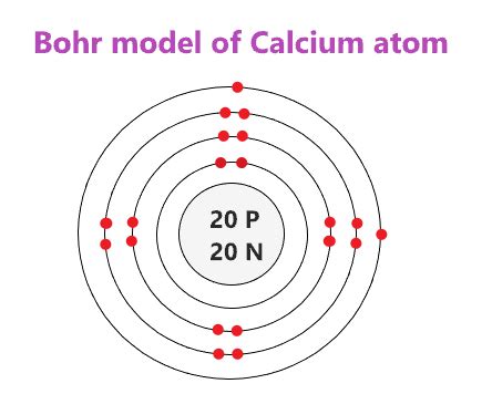 Calcium Bohr Model How To Draw Bohr Diagram For Calcium Ca Atom