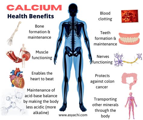 Calcium Health Benefits Asya Chi Author Amp Holistic Health Therapist