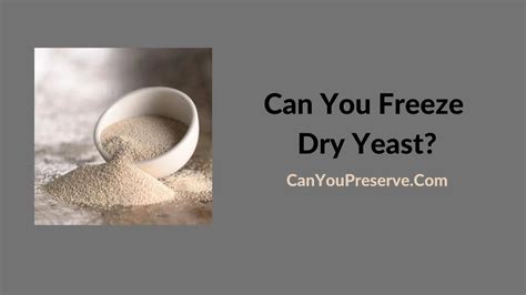 Can You Freeze Dry Yeast Exploring The Possibility Of Freezing Dry Yeast A Comprehensive