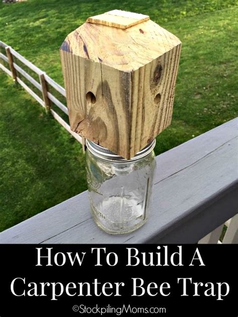 5 Ways to Make Carpenter Bee Traps