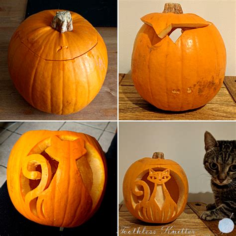 Cat Carves Pumpkin: Feline Halloween Fun