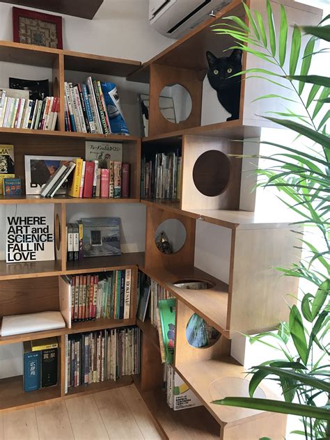 Cat Library Custom Cat Climbing Shelves Great Catification Inspiration