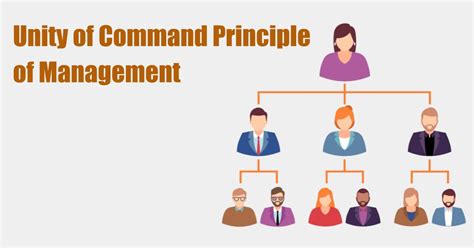 Chain Of Command Principle Organization Manager Model Company