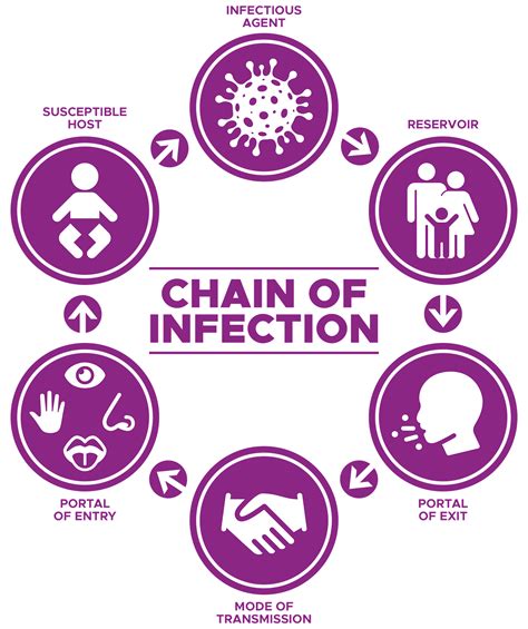 Chain Of Infection Explained Step By Step