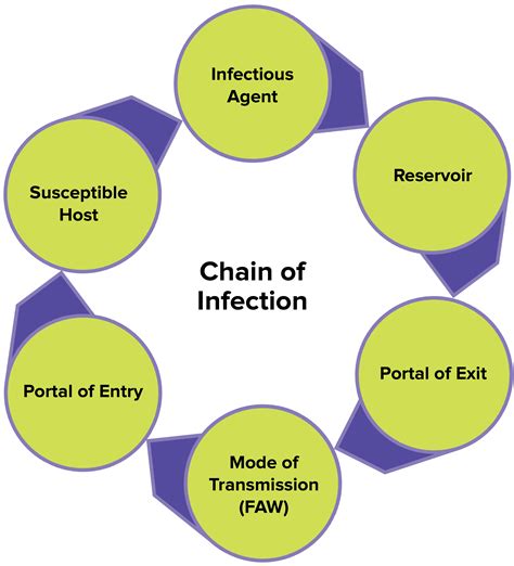 Chain Of Infection Introduction Chain Of Infection Infection