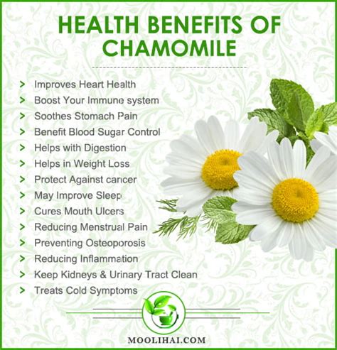 Chamomile Benefits