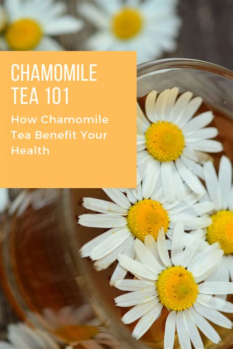 Chamomile Tea 101 How Chamomile Tea Support Your Health Chamomile