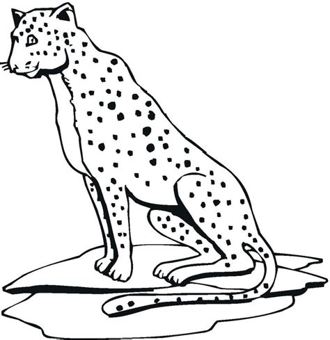 Cheetah Outline Drawing At Getdrawings Free Download