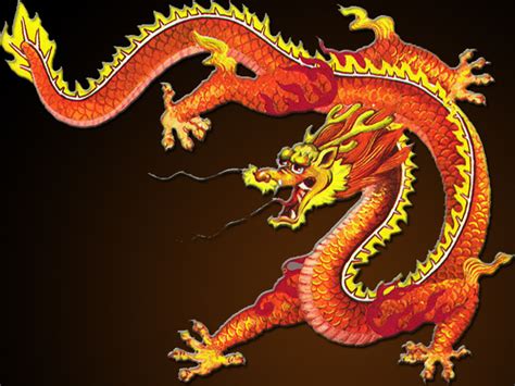 Chinese Dragons Pictures