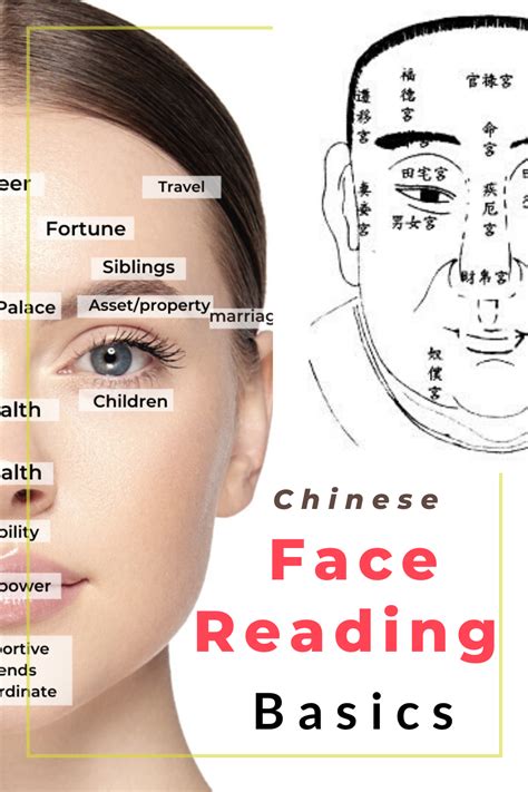 Chinese Face Reading Basics Picture Healer Feng Shui And Fortune