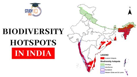 Choose The Odd One Out Related To The Biodiversity Hotspots In India