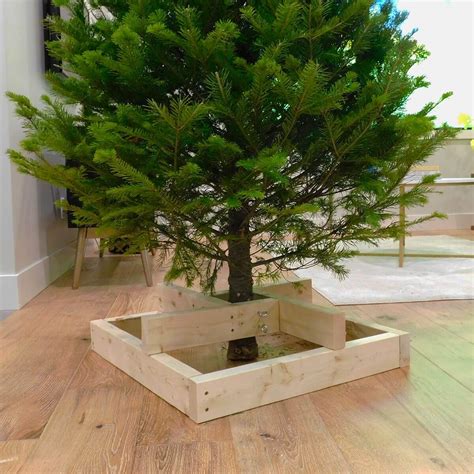 7 Ways to Stabilize Your Christmas Tree