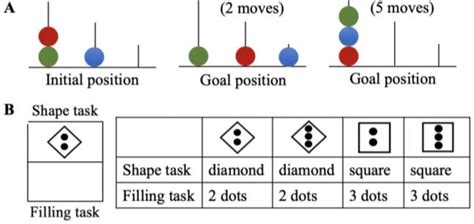 Cognitive Tests A Examples Of The Tower Of London Test B Stimuli