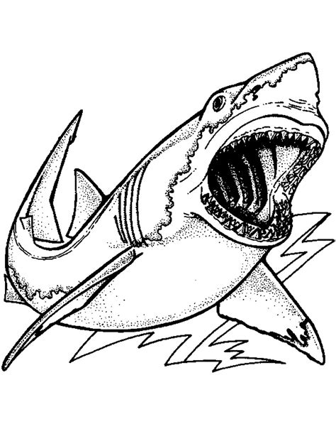 10 Free Shark Coloring Pages to Print Now