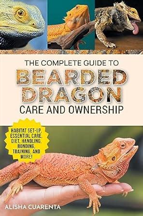 Complete Guide To Bearded Dragon Care And Diet