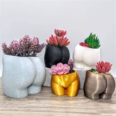 7 Unique Plant Pots to Elevate Your Space