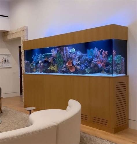 Corner Fish Tank Ideas To Enhance Your Interior Decor