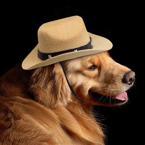 Cowboy Hats For Dogs