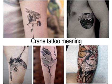 Crane Tattoo Meaning Sense History Photo Examples Sketches Facts