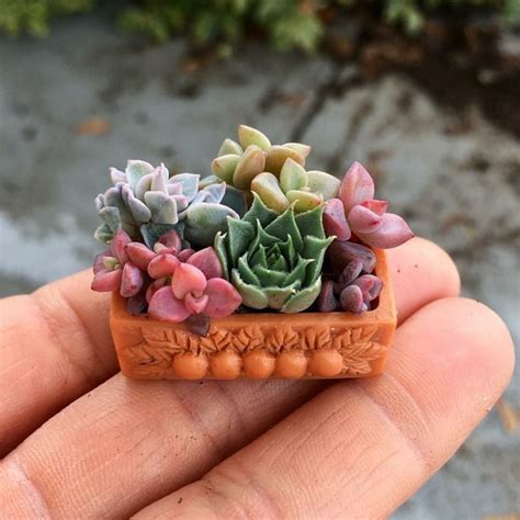 Cute Tiny Succulent Planters That You Will Instantly Fall In Love With Them