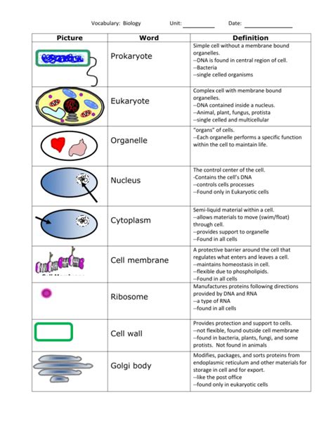 Vocabulary Cell Worksheet Definition and Examples