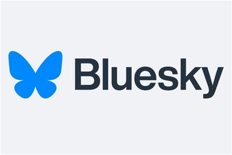 Democrats Take Over Bluesky Social