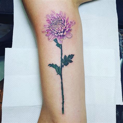 Details More Than 58 Delicate Chrysanthemum Tattoo Best In Cdgdbentre