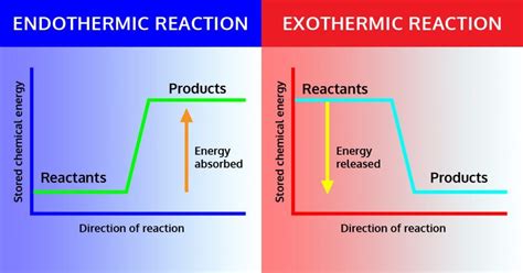 Determine Whether The Reaction Is Endothermic Or Exothermic Based