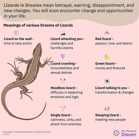 Did You See Lizards In Dream Here Is What Your Dream Means 65 Types